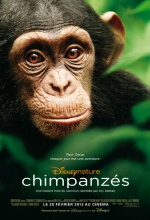 Chimpanzés