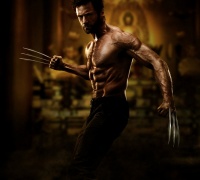 The Wolverine