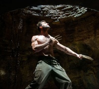 The Wolverine Photo