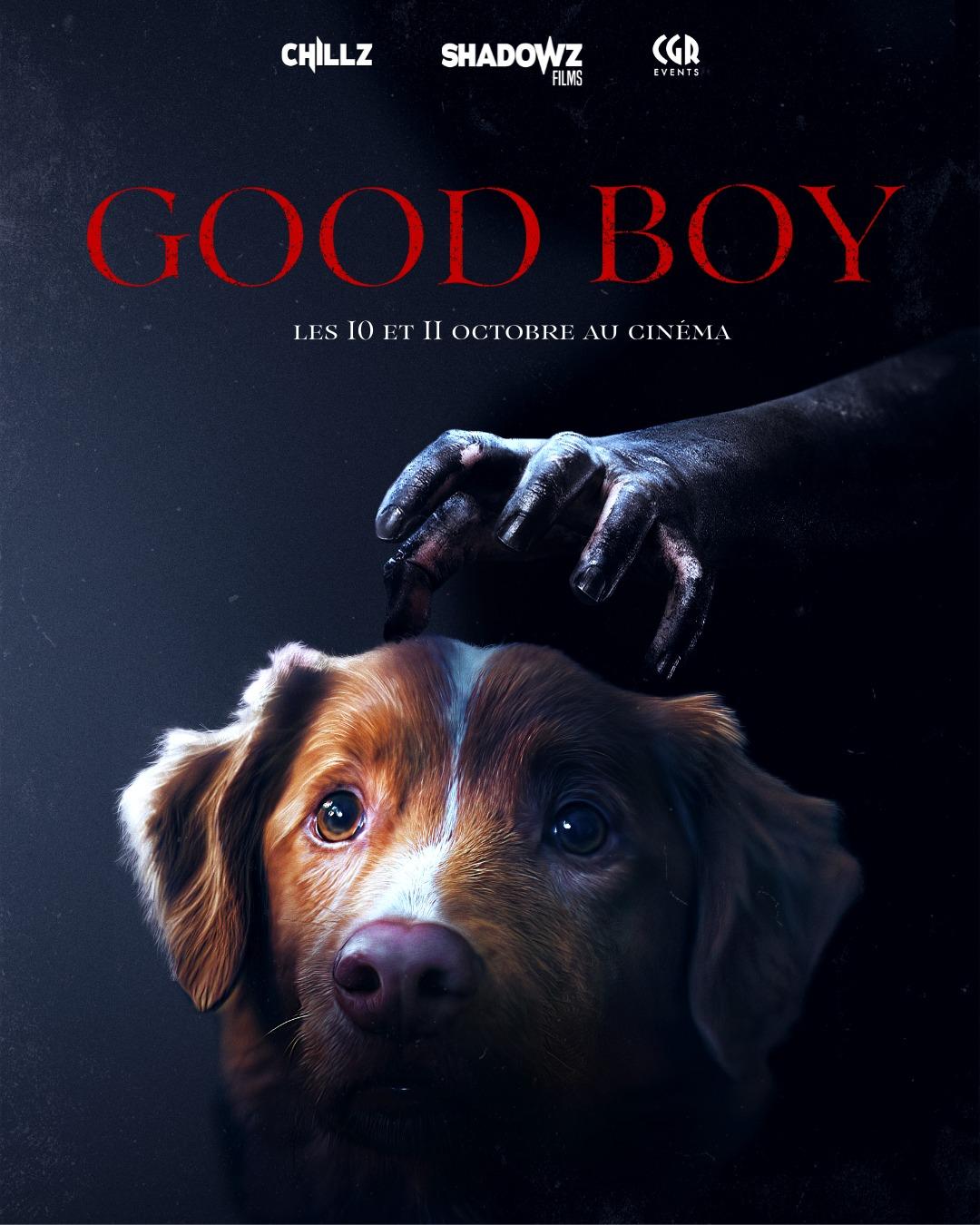 Good Boy Film 2025 Cin horizons Good Boy Film 2025 Cin horizons