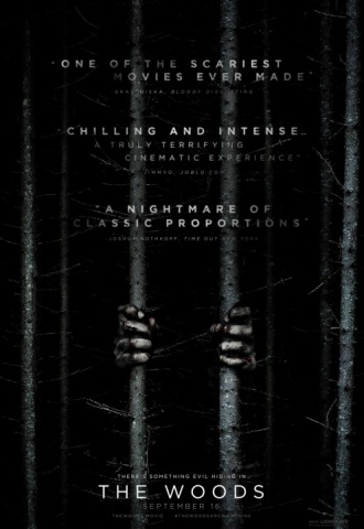 Blair Witch (2016) - Affiche