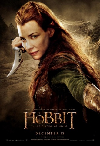 Le Hobbit : La Desolation de Smaug - Affiche