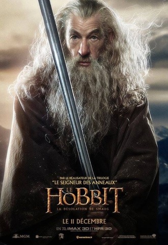 Le Hobbit : La Desolation de Smaug - Affiche