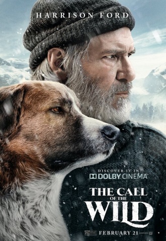 L&#039;appel de la forêt - Affiche