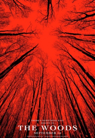 Blair Witch (2016) - Affiche