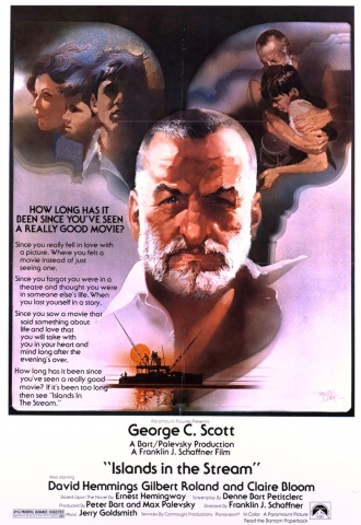 L'île des adieux - Affiche