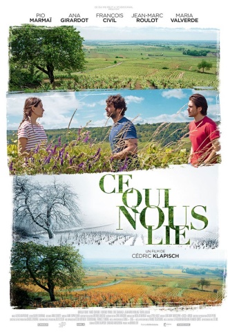 Ce qui nous lie - Affiche