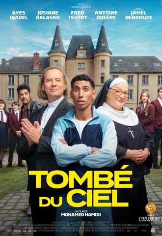 Tombé du ciel - Affiche