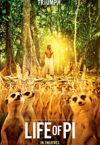 L&#039;Odyssée de Pi - Affiche