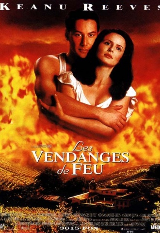 Les Vendanges de feu