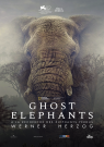 Ghost Elephants - Affiche
