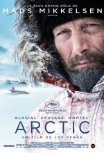 Arctic - Affiche