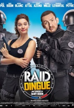 Raid Dingue - Affiche