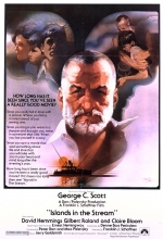 L'île des adieux - Affiche L'île des adieux - Affiche