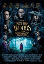 Into the Woods-Promenons-nous dans les bois - Affiche Into the Woods-Promenons-nous dans les bois - Affiche