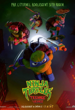Ninja Turtles : Teenage Years  - Affiche