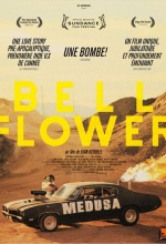 Bellflorwer Bellflorwer