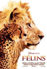 Félins Félins