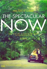 The Spectacular Now - Affiche