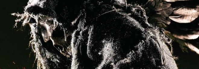 The ABC's of Death 2 : le 02 octobre prochain en VOD The ABC's of Death 2 : le 02 octobre prochain en VOD