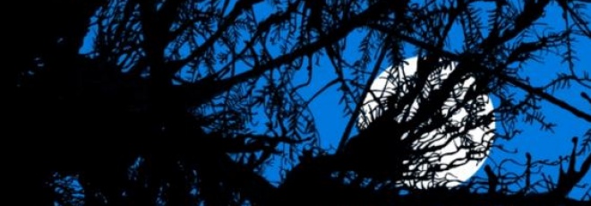 Le nouveau film de Juan Antonio Bayona Le nouveau film de Juan Antonio Bayona