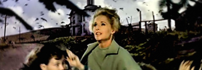 Un remake des Oiseaux