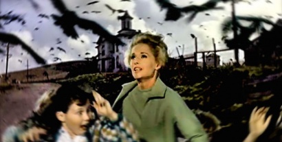 Un remake des Oiseaux Un remake des Oiseaux