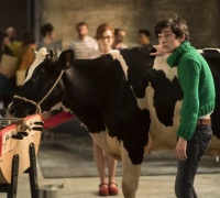 Gaston Lagaffe	- Photo