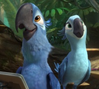 Rio 2	- Photo