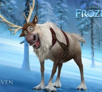 La reine des neiges	- Photo