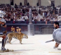 Gladiator	- Photo