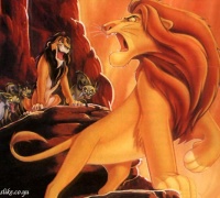 Le Roi Lion	- Photo