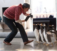 Mr. Popper et ses Pingouins	- Photo