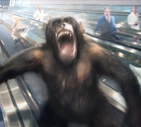 La Planète des Singes : Les Origines	- Photo