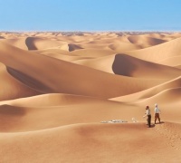 Les Aventures de Tintin : Le Secret de La Licorne	- Photo